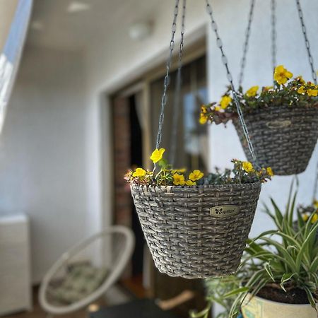 Apartmani Mia Palit エクステリア 写真