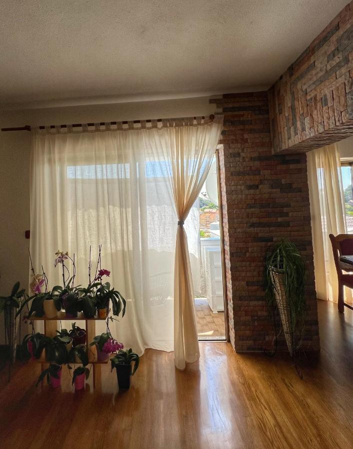 Apartmani Mia Palit エクステリア 写真