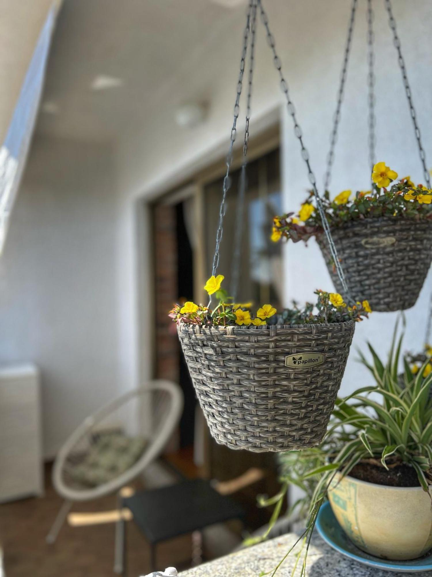 Apartmani Mia Palit エクステリア 写真